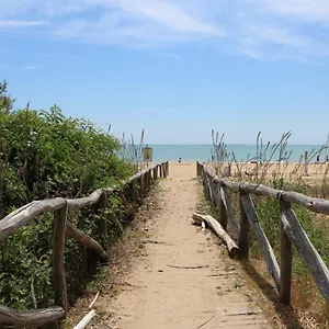 Zenith , Bibione Italien